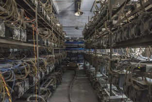 An expansive mining farm illuminated by renewable energy sources, highlighting efficient and scalable operations